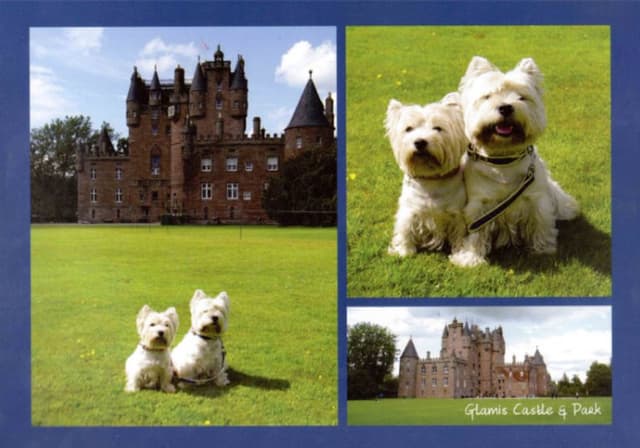 Allevamento La Rossella - Immagine 1