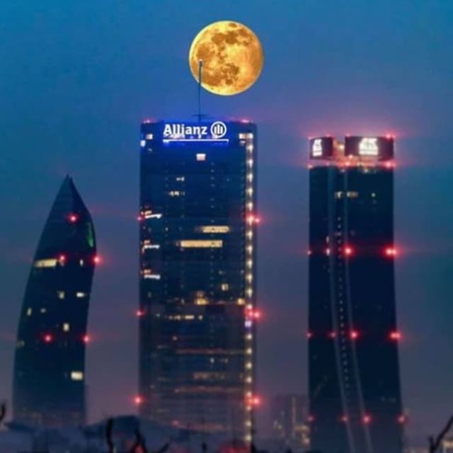 Allianz Calcinelli di Colli al Metauro - Carloni Carlo - Immagine 2