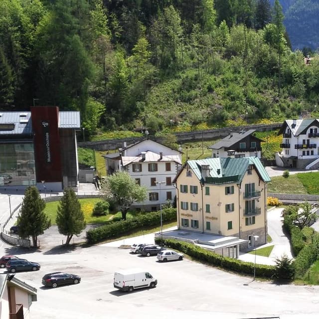 Allianz Coletti 1905 di Coletti Alessandro S.a.s. - Immagine 2