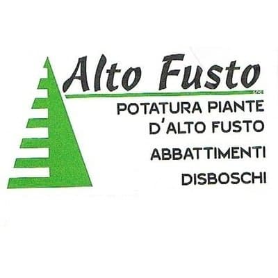 Alto Fusto - Immagine 1