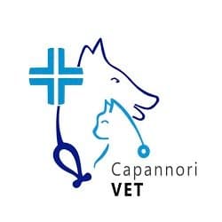 Ambulatorio Medico Veterinario CapannoriVET del Dott. Luca Cassiani - Immagine 1
