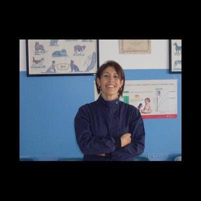 Ambulatorio Veterinario Associato Dott.ssa De Francesco e Dott. Gentile - Immagine 2