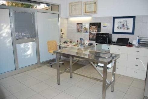 Ambulatorio Veterinario Associato Dr.ssa Baroni e Dr. Buldrini - Immagine 1
