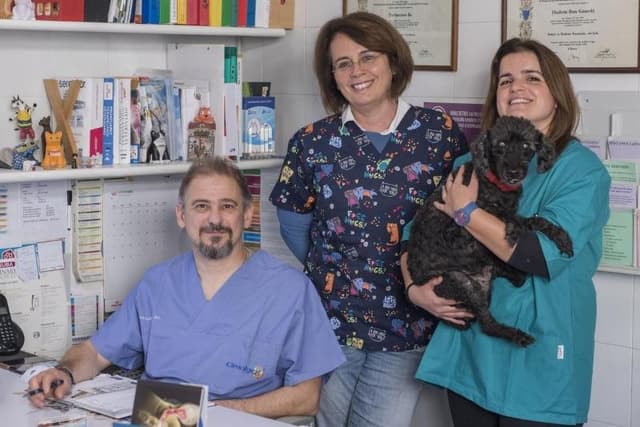 Ambulatorio Veterinario Associato - Immagine 2