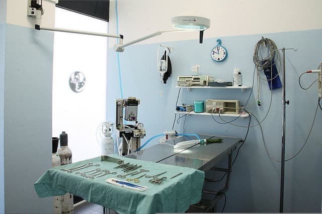 Ambulatorio Veterinario Associato Vittorio Veneto - Immagine 1