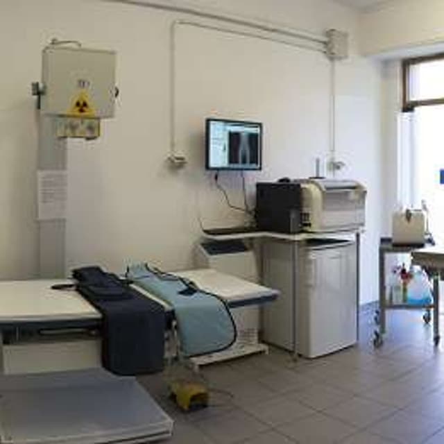 Ambulatorio Veterinario Bubini Regini - Immagine 2