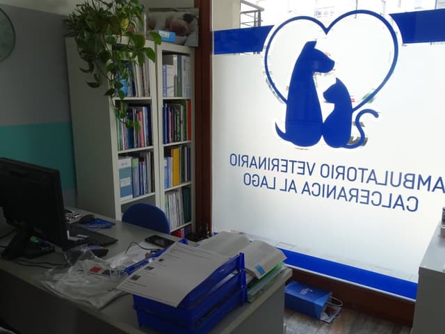 Ambulatorio Veterinario Calceranica al Lago Arici Eccel - Immagine 2