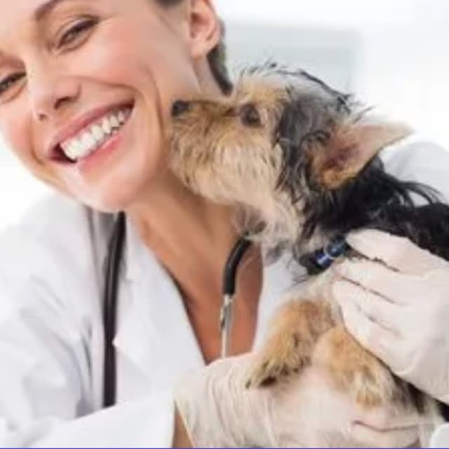 Ambulatorio Veterinario Casa del Cane - Immagine 1