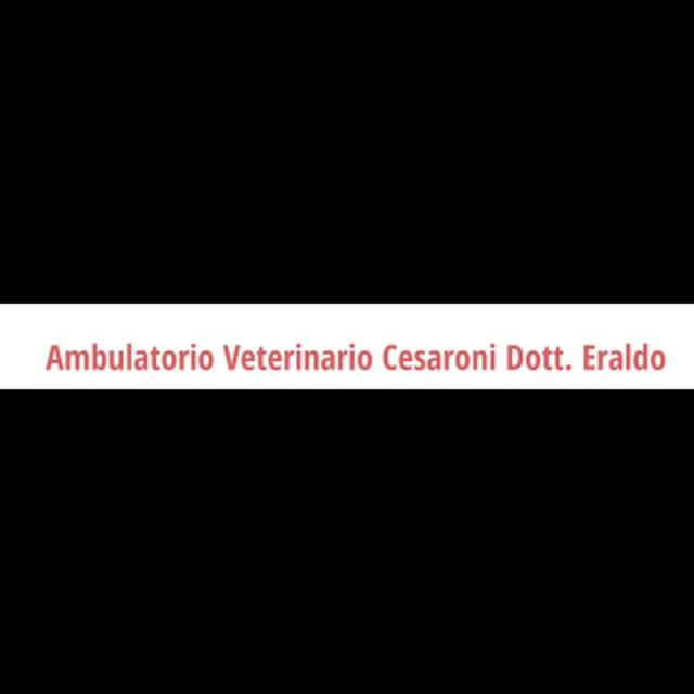 Ambulatorio Veterinario Cesaroni Dott. Eraldo - Immagine 1