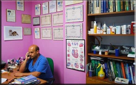 Ambulatorio Veterinario Dott Michele Lacagnina - Immagine 1