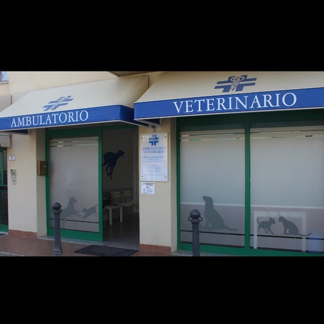 Ambulatorio Veterinario Dott.ssa Giulia Frati - Immagine 1