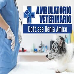 Ambulatorio veterinario Dott.ssa Ilenia Amico - Immagine 1