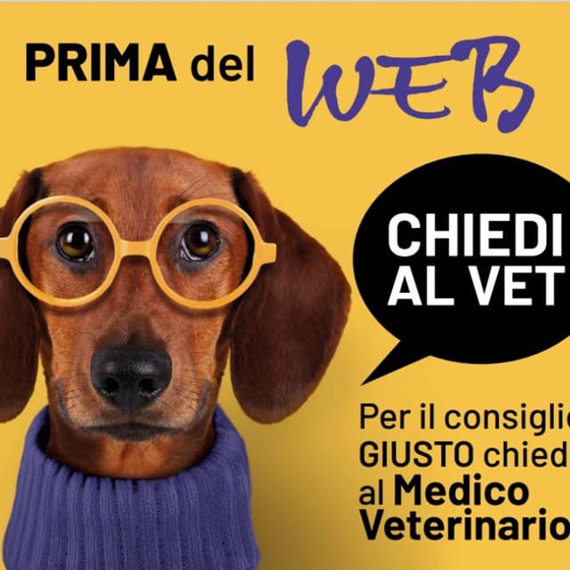 Ambulatorio Veterinario Dott.ssa Paola Aurigemma - Immagine 1