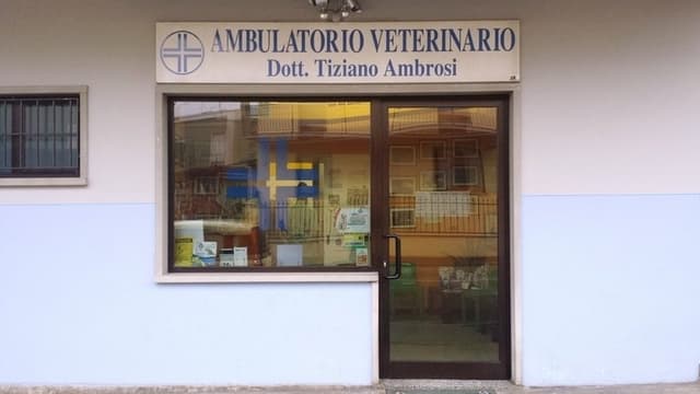 Ambulatorio Veterinario Dr. Tiziano Ambrosi - Immagine 1