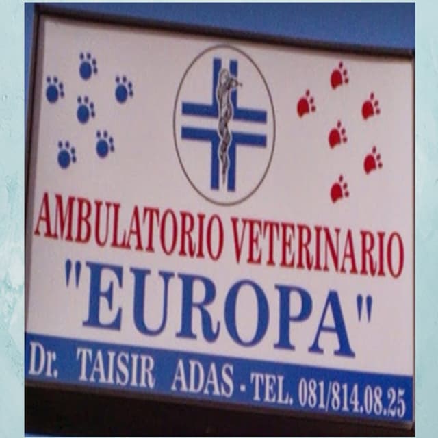 Ambulatorio Veterinario Europa - Immagine 1