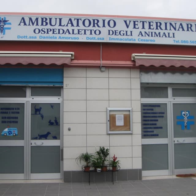 Ambulatorio Veterinario Ospedaletto Degli Animali - Immagine 1