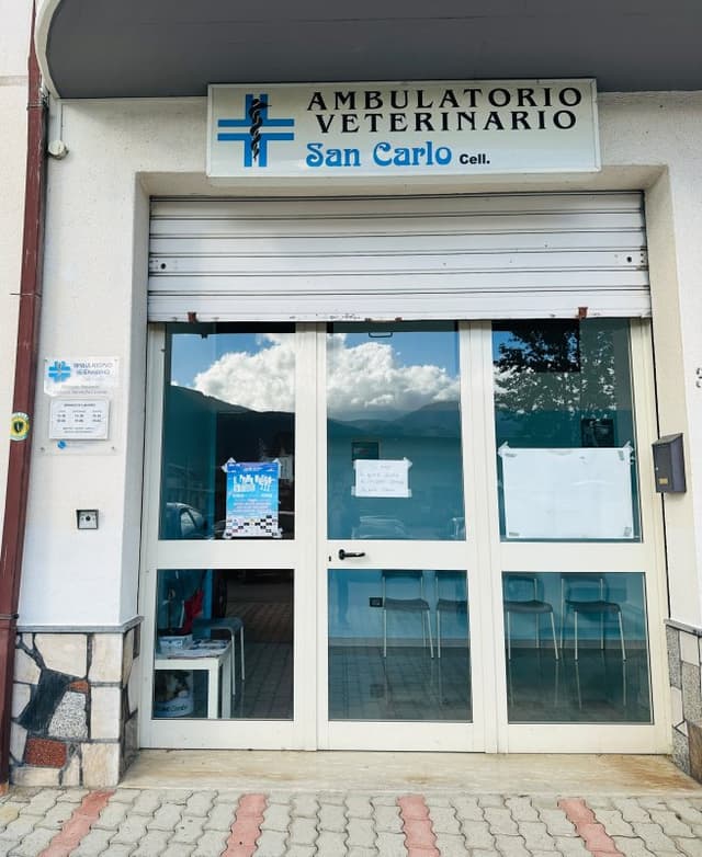 Ambulatorio Veterinario San Carlo - Immagine 2