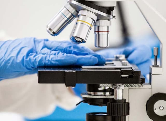 Analysis Service - Immagine 1