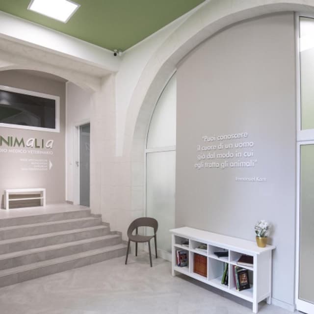 Animalia Studio Medico Veterinario Dott. Sola Calogero - Immagine 1