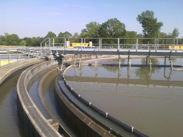 Aps Ecosystems - Immagine 1