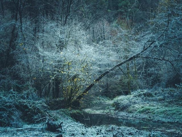 Arcangelo Piai Fotografo - Immagine 1
