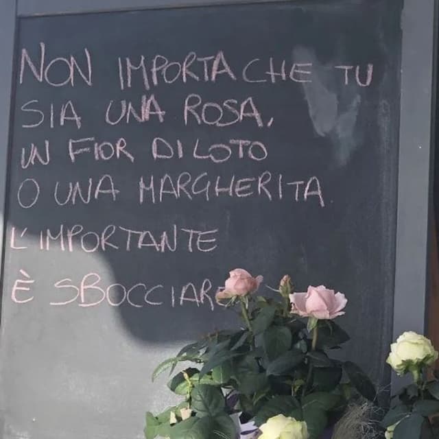 Area Fiori The Flower Shop - Immagine 1