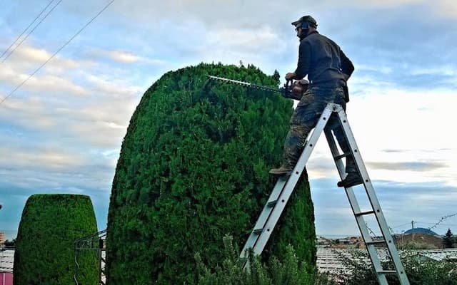Area Verde di Boron Matteo - Immagine 1
