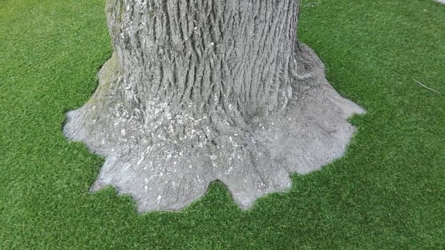 AreaVerde - Prati in Erba Sintetica - Immagine 1