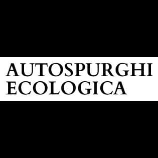 Autospurghi Ecologica Inguscio - Immagine 2
