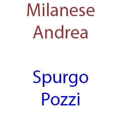 Autospurgo Milanese - Immagine 1
