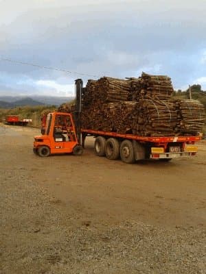 Autotrasporti Beccu Quirico e Figli - Immagine 1