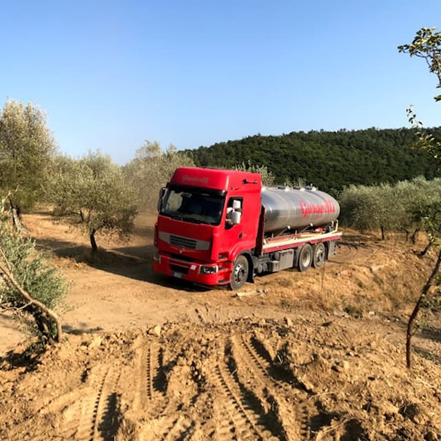 Autotrasporti Garavelli Marco & C Sas - Immagine 1