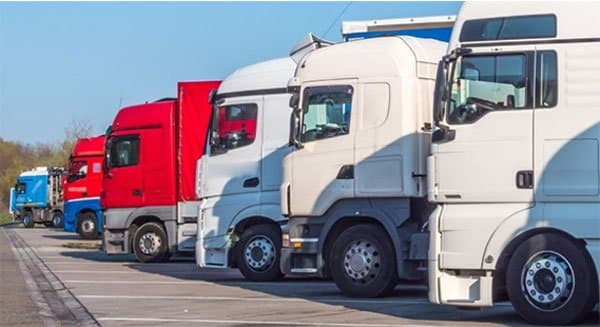 Autotrasporti Sacchi - Immagine 1