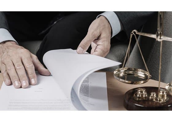 Avv. Rocco Mangino - Immagine 1