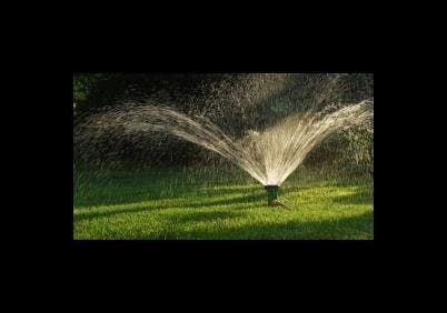 Az. Agr. Santa Lucia di Gualla C. Giardinaggio - Immagine 1