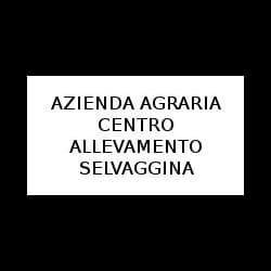 Azienda Agraria Centro Allevamento Selvaggina di Freschini Simona - Immagine 1