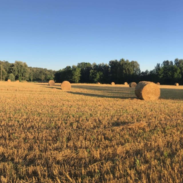Azienda Agricola Barbialla Srl Società Agricola - Castello di Barbialla - Immagine 1