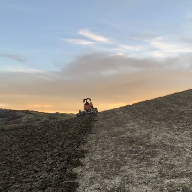 Azienda Agricola Barbialla Srl Società Agricola - Castello di Barbialla - Immagine 2