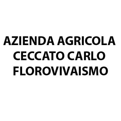 Azienda Agricola Ceccato Carlo Florovivaismo - Immagine 1