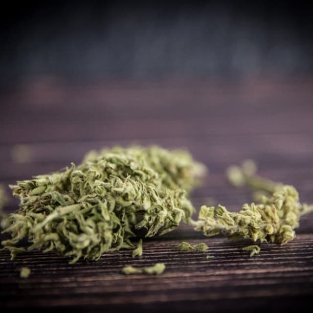 Azienda Agricola Coccioli - Immagine 2