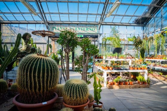 Azienda Agricola Florovivaista Toscogarden - Immagine 2