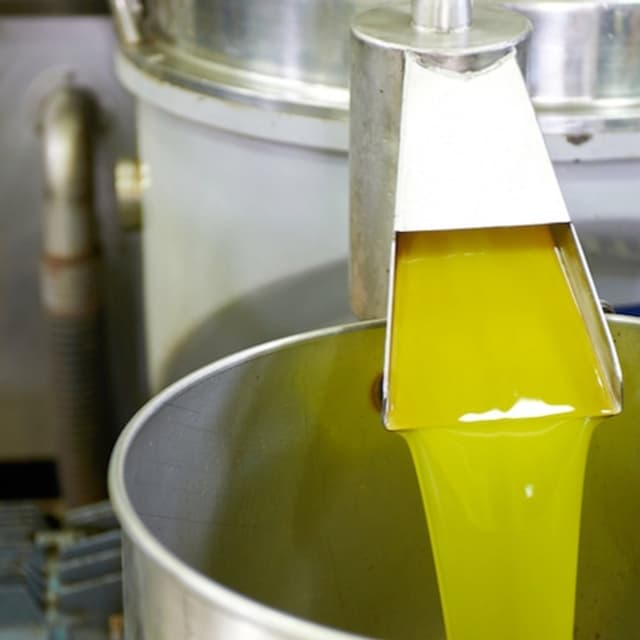 Azienda Agricola Tenute Grifeo - Immagine 1