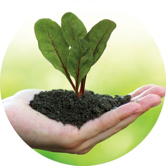 Azienda Agroalimentare La Veneta S.R.L - Immagine 1