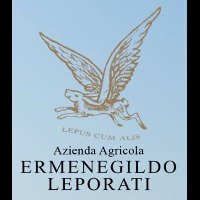 Azienda Ermenegildo Leporati Produzione Vini - Immagine 2