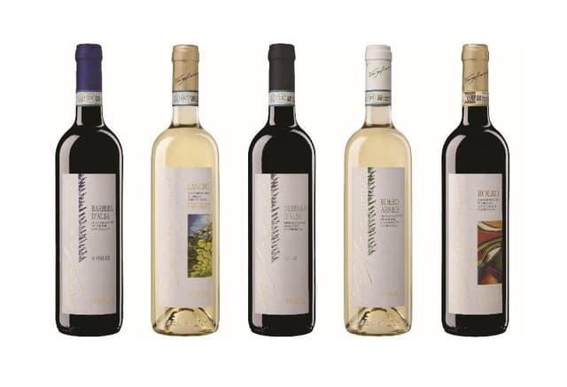 Azienda Vinicola Viglione Antonio - Immagine 1