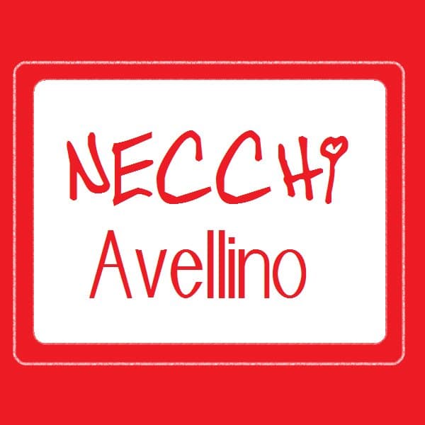 Barone Teresa Macchine Per Cucire - Immagine 2