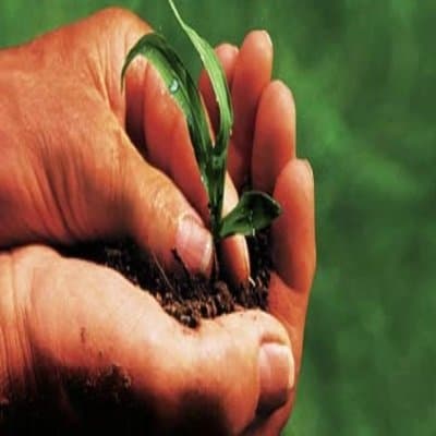 Bea Biotecnologie per L'Ecologia e L'Agricoltura - Immagine 1