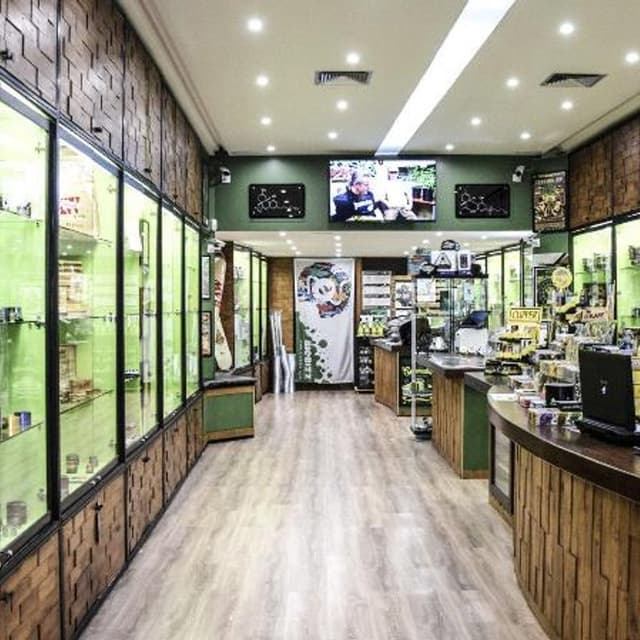 Bear Bush Cannabis Light Shop Self H24 Delivery Dispensary Store Grow & Seed - Immagine 1