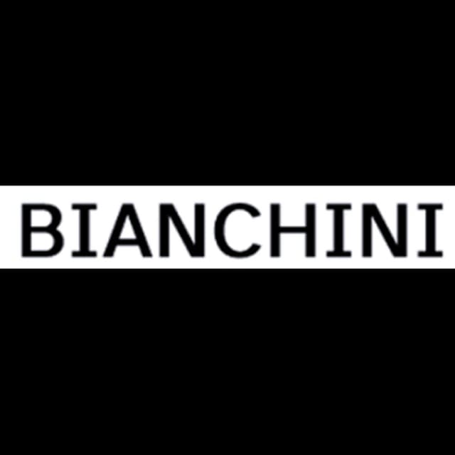 Bianchini SRL - Immagine 2