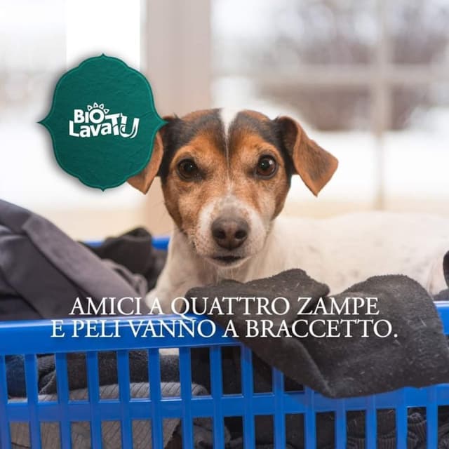 Biolava Tu Aprilia - Immagine 1